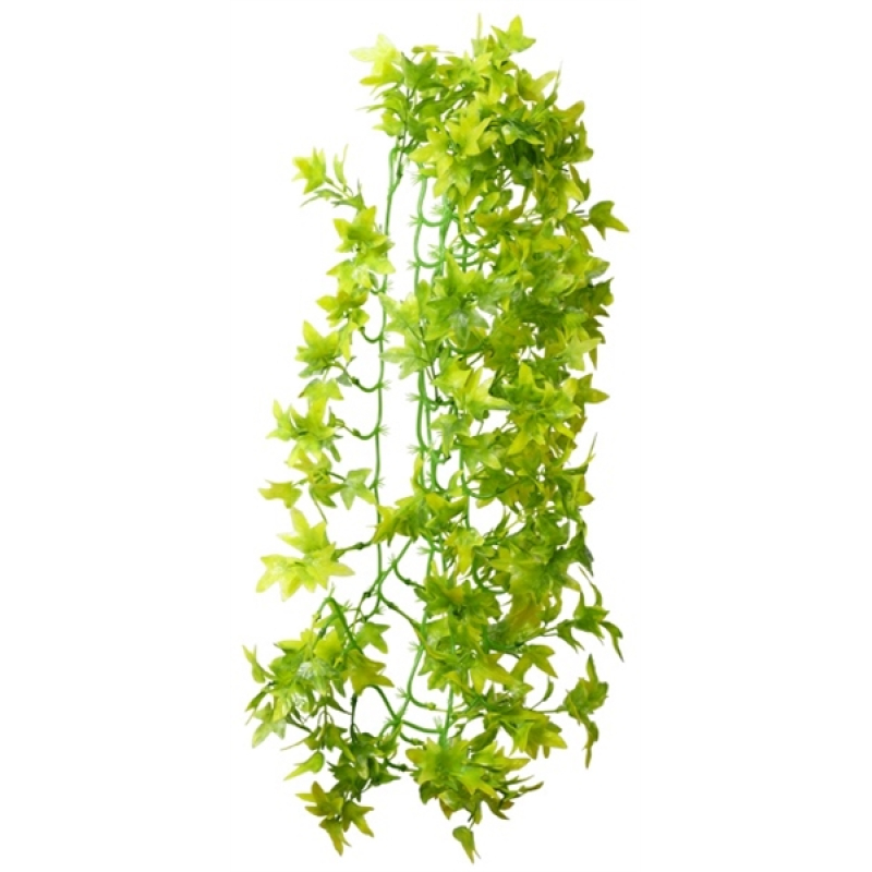 Hobby Terrano Climber Ivy Hangend 70cm